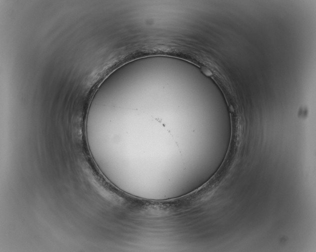 X0000113340489200909291033