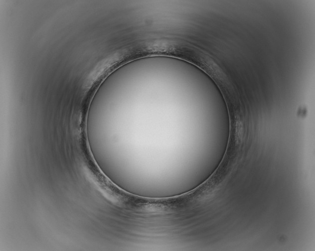 X0000113340490200909291033