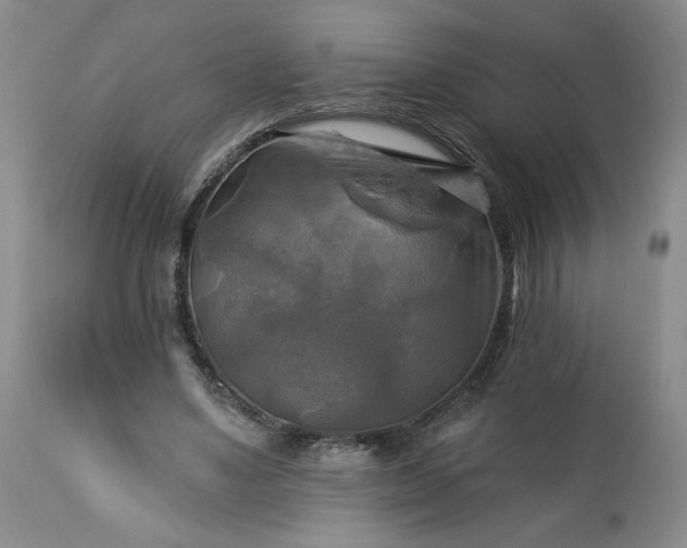 X0000113340491200909291033