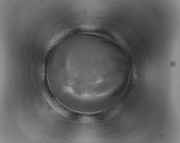 X0000113340494200909291033