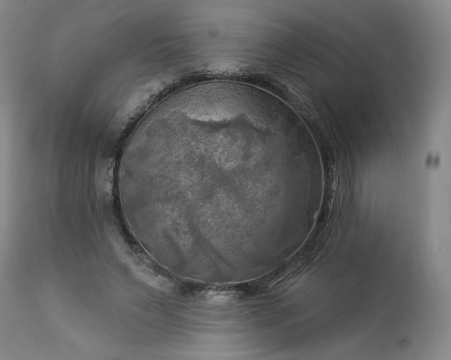 X0000113340495200909291033