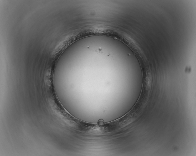 X0000113340497200909291033