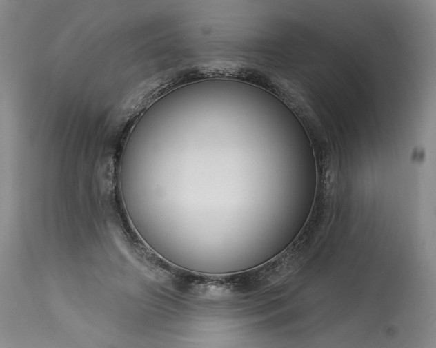 X0000113340498200909291033