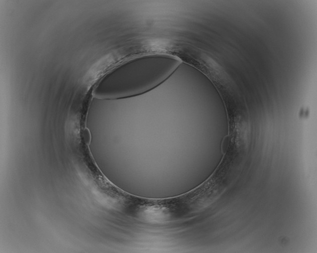 X0000113340500200909291033