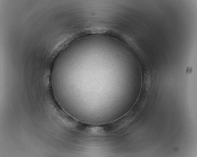 X0000113340501200909291033