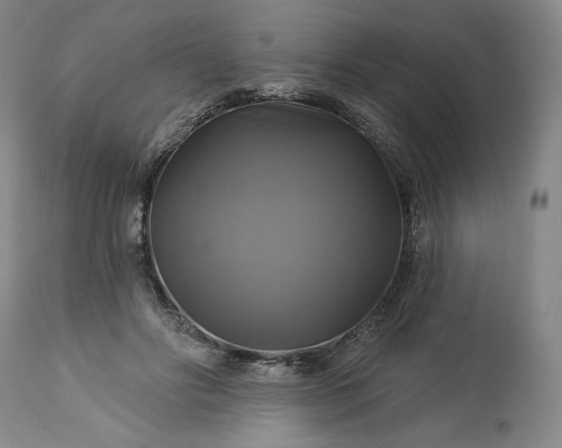 X0000113340502200909291033