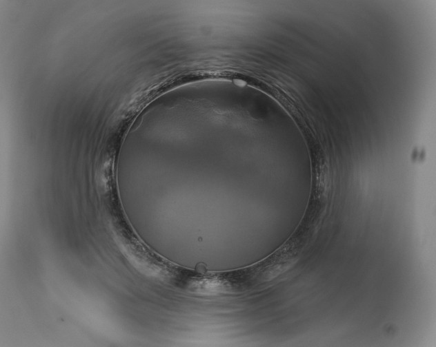 X0000113340503200909291033