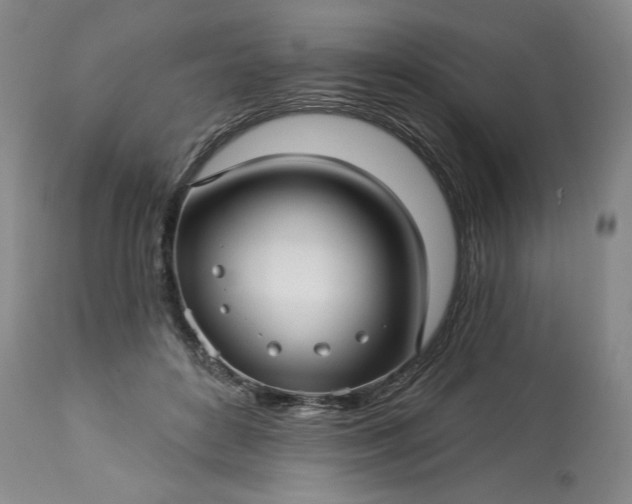 X0000113340504200909291033