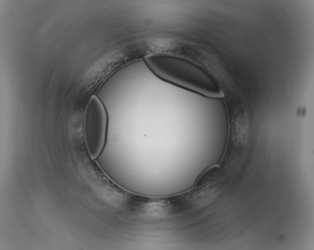 X0000113340505200909291033