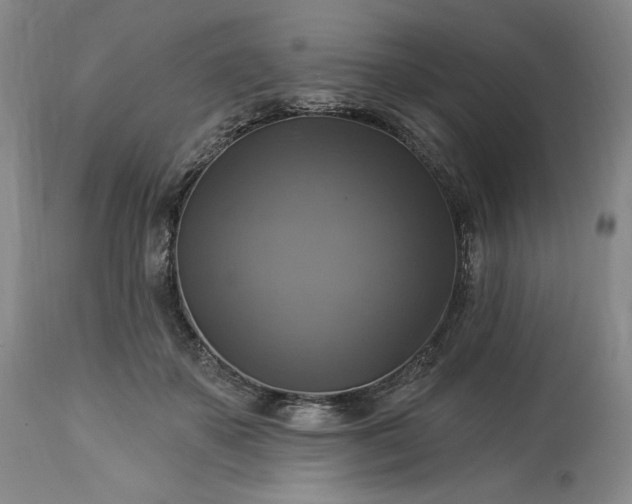 X0000113340507200909291033