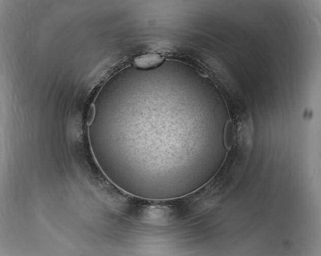 X0000113340508200909291033