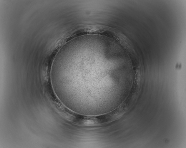 X0000113340510200909291033