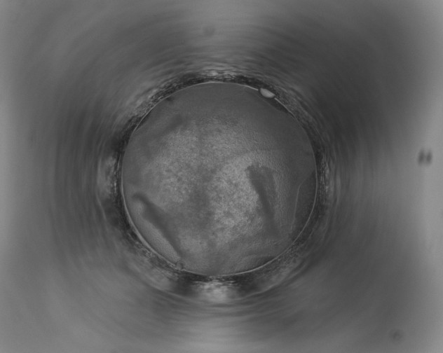 X0000113340511200909291033