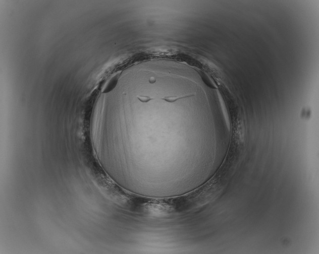 X0000113340512200909291033