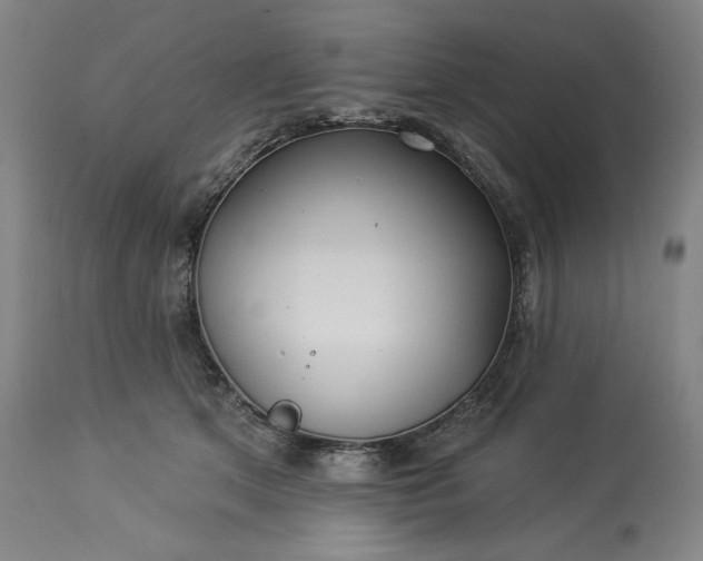 X0000113340513200909291033