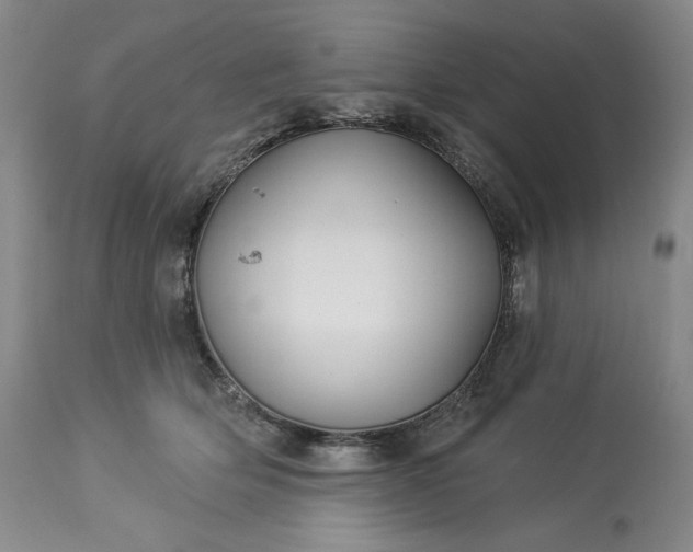 X0000113340514200909291033