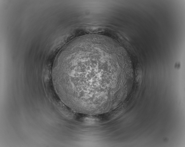 X0000113340515200909291033