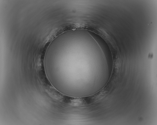 X0000113340516200909291033