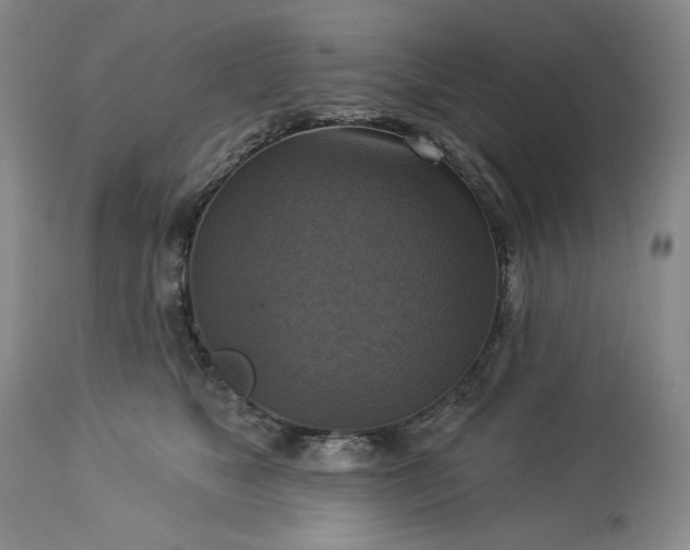 X0000113340517200909291033