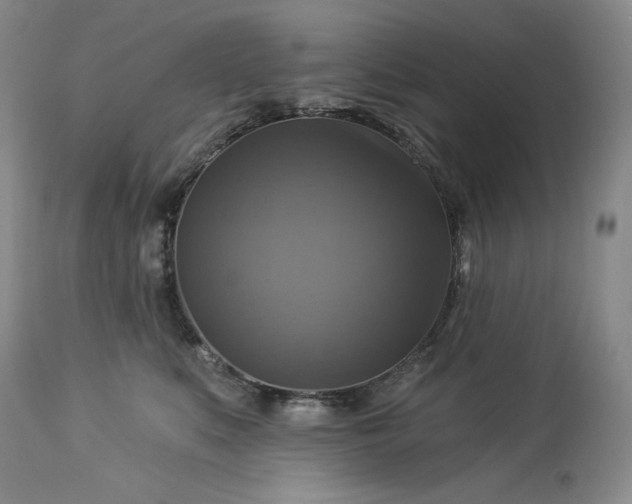 X0000113340519200909291033