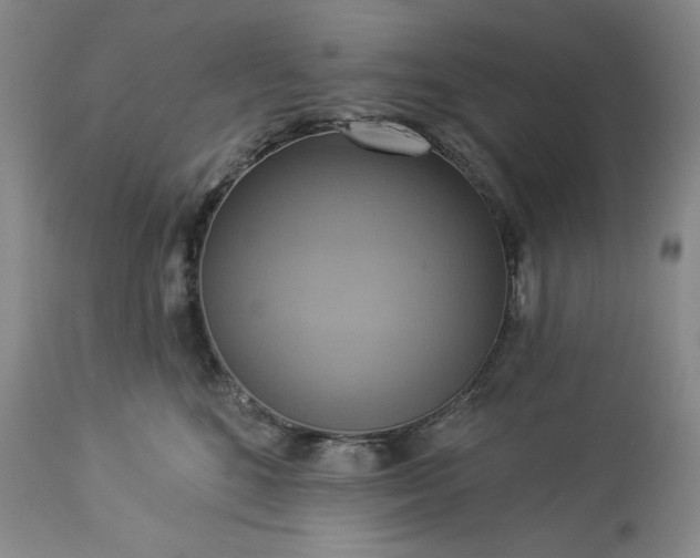 X0000113340520200909291033