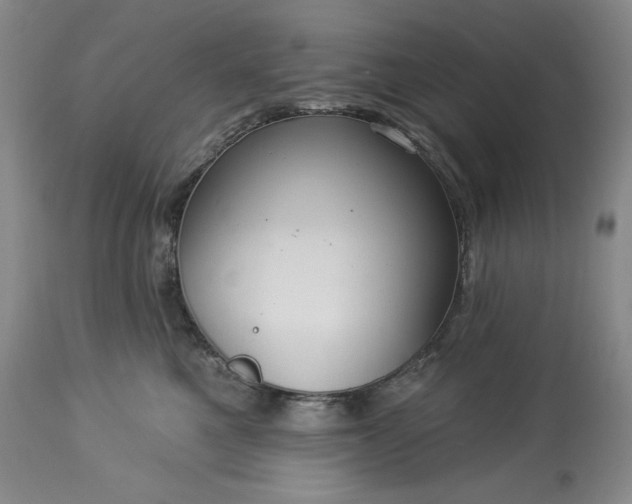 X0000113340521200909291033