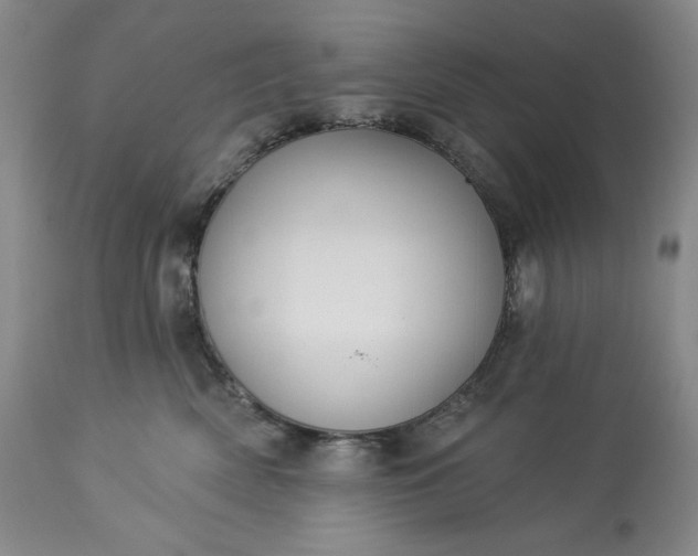 X0000113340522200909291033