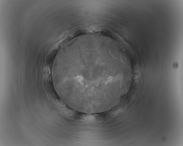 X0000113340523200909291033