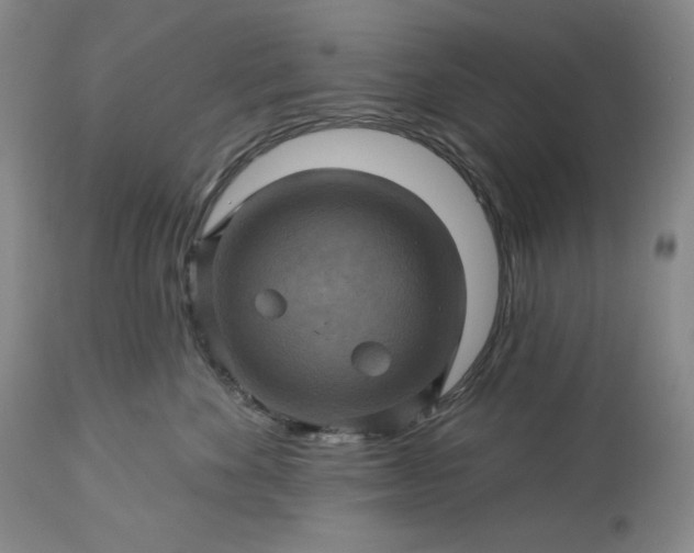 X0000113340524200909291033