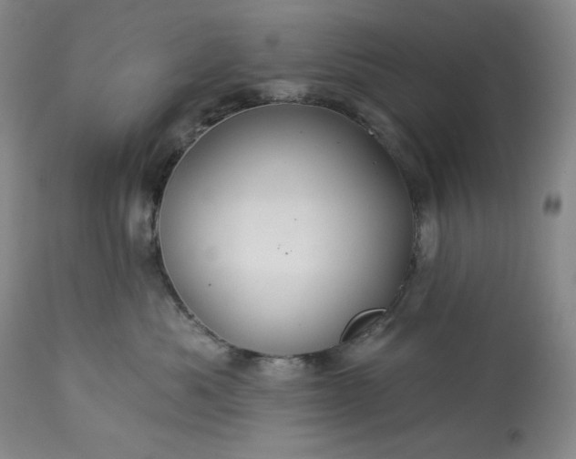 X0000113340525200909291033