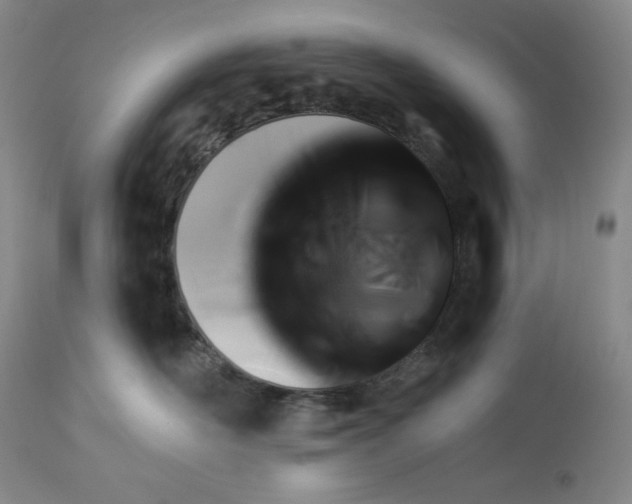 X0000113340526200909291033