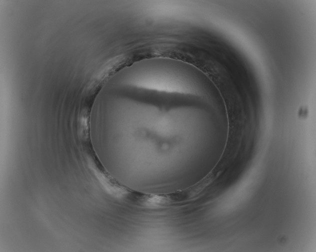 X0000113340527200909291033