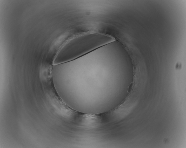 X0000113340528200909291033