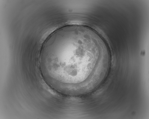 X0000113340529200909291032