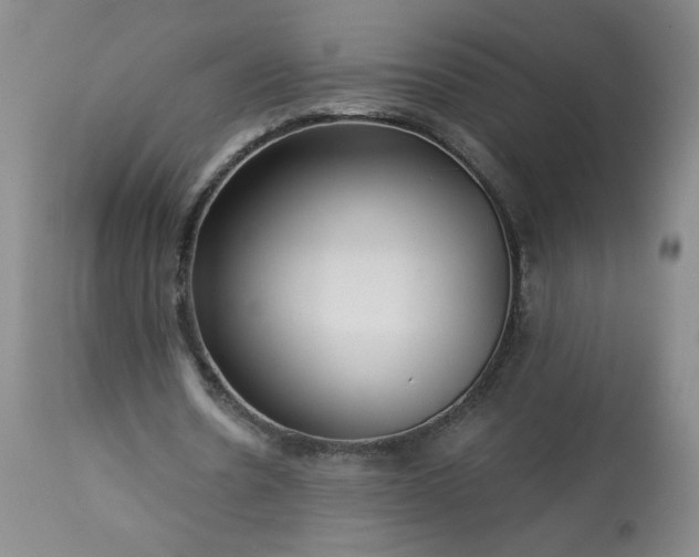 X0000113340530200909291032