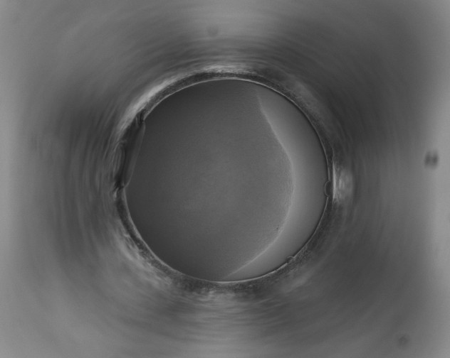 X0000113340531200909291032