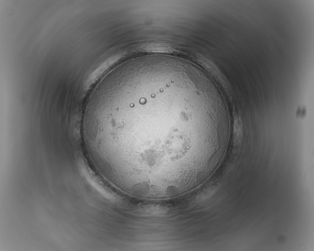 X0000113340533200909291032