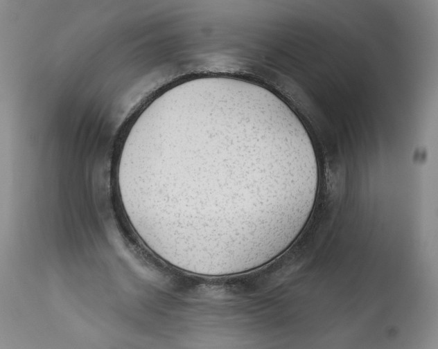 X0000113340534200909291032