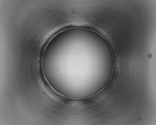 X0000113340535200909291032