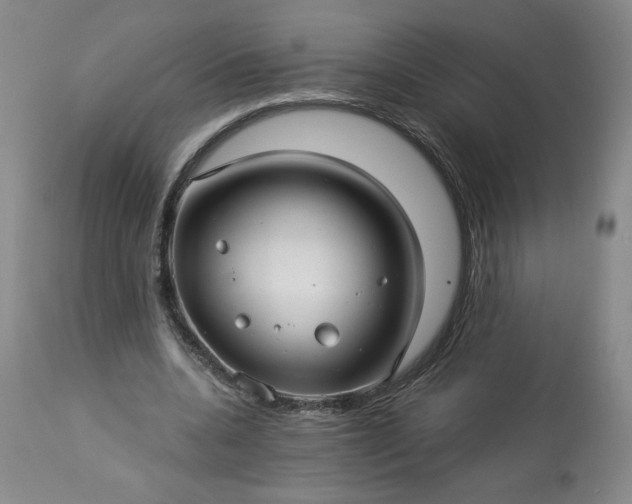 X0000113340536200909291032