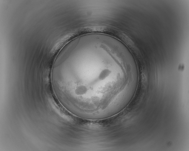 X0000113340537200909291032