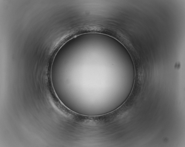 X0000113340538200909291032