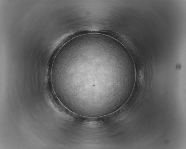 X0000113340540200909291032