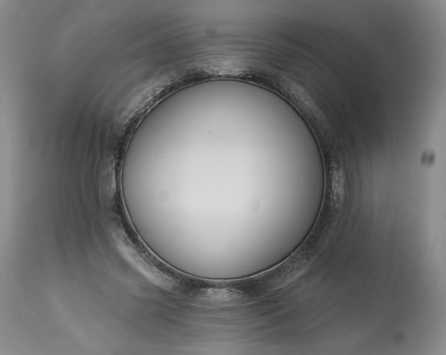 X0000113340541200909291032