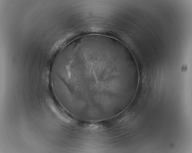 X0000113340542200909291032