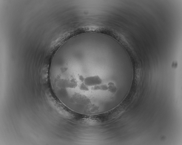 X0000113340545200909291032