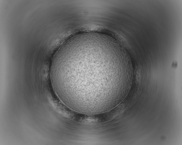 X0000113340546200909291032