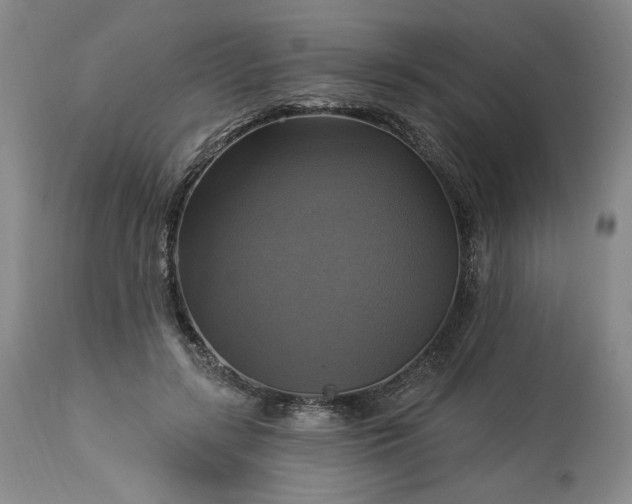 X0000113340547200909291032