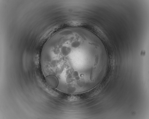 X0000113340549200909291032