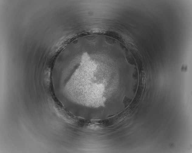 X0000113340550200909291032